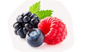 Ягоды свежие (ежевика, малина, голубика)