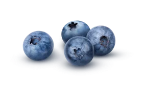 Голубика свежая