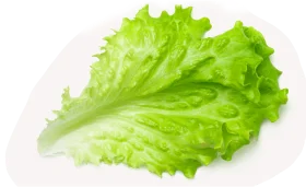 Салат свежий