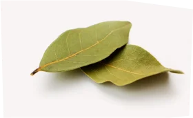 Лавровый лист сушеный