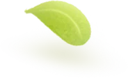 Завтраки