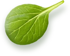 Салаты